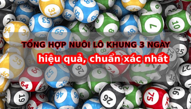 Cách nuôi lô khung 3 ngày hiệu quả